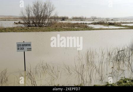 Fluss Ebro Überschwemmungen. Februar 2003. Pina de Ebro, Zaragoza Provinz. Spanien Stockfoto