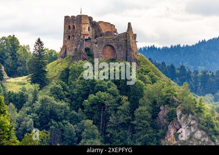 Restaurierte Ruinen der Burg in Czorsztyn am See, Touristenattraktion, Instagram-Platz in Polen Stockfoto