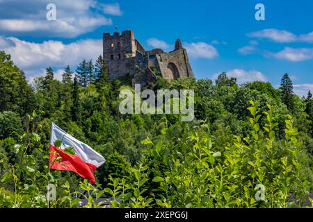 Restaurierte Ruinen der Burg in Czorsztyn am See, Touristenattraktion, Instagram-Platz in Polen Stockfoto