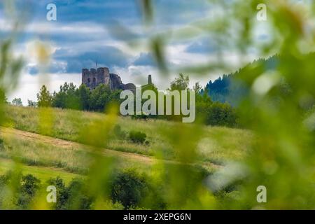 Restaurierte Ruinen der Burg in Czorsztyn am See, Touristenattraktion, Instagram-Platz in Polen Stockfoto