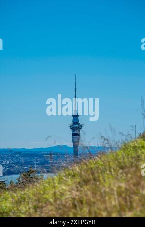 Blick nach Norden auf das Zentrum von Auckland City und den Sky Tower vom Mount Eden auf Neuseelands Nordinsel Stockfoto