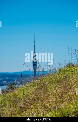 Blick nach Norden auf das Zentrum von Auckland City und den Sky Tower vom Mount Eden auf Neuseelands Nordinsel Stockfoto