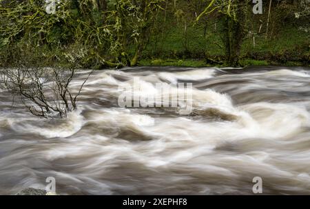 East Dart River, Dartmeet, Yelverton, Devon, England, UK. Stockfoto