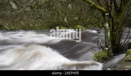 East Dart River, Dartmeet, Yelverton, Devon, England, UK. Stockfoto