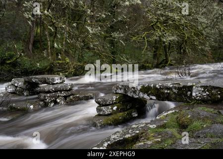 East Dart River, Dartmeet, Yelverton, Devon, England, UK. Stockfoto