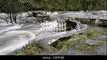 East Dart River, Dartmeet, Yelverton, Devon, England, UK. Stockfoto