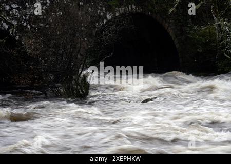 East Dart River, Dartmeet, Yelverton, Devon, England, UK. Stockfoto