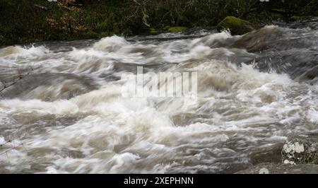 East Dart River, Dartmeet, Yelverton, Devon, England, UK. Stockfoto