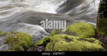 East Dart River, Dartmeet, Yelverton, Devon, England, UK. Stockfoto