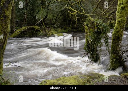 East Dart River, Dartmeet, Yelverton, Devon, England, UK. Stockfoto