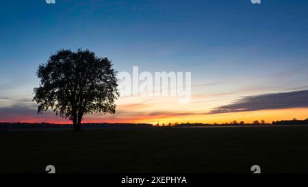 Sonnenuntergang Stockfoto