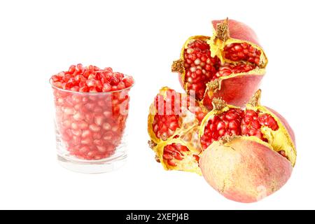 Reifer Granatapfel, eine der Früchte mit der höchsten Menge an Antioxidantien. Selektiver Fokus mit geringer Schärfentiefe. Stockfoto