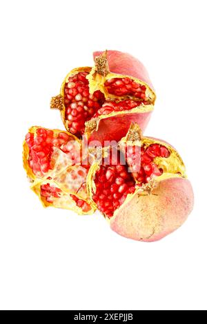 Reifer Granatapfel, eine der Früchte mit der höchsten Menge an Antioxidantien. Selektiver Fokus mit geringer Schärfentiefe. Stockfoto