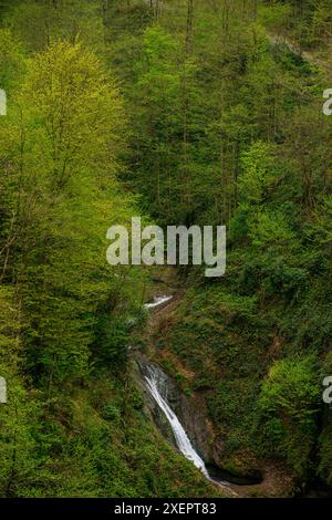 Erleben Sie die atemberaubende Schönheit eines Wasserfalls, umgeben von dichter, üppiger Natur, die eine ruhige und fesselnde Szene schafft. Stockfoto