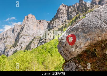 Eine rote Markierung ist auf einem Felsen vor einem Berg gemalt. Der Felsen ist mit Moos bedeckt und der Berg ist mit Bäumen bedeckt. Stockfoto