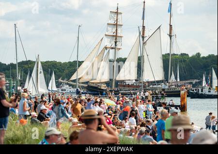 Kiel, Deutschland. Juni 2024. Während der Windjammer Parade fahren zahlreiche große und kleine Segelschiffe auf dem Kieler Fjord. Quelle: Jonas Walzberg/dpa/Alamy Live News Stockfoto