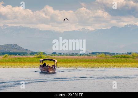 Mai 2024, Virpazar, Montenegro: Sommerausflug zur Erkundung der unberührten Gewässer und Natur des Skadar-Sees. Stockfoto