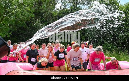 Brighton UK 29 Juni 2024 - Tausende nehmen an einem warmen sonnigen Tag im Stanmer Park Brighton am Cancer Research UK Pretty Muddy Race for Life Teil. Teilnehmer, die von Krebs berührt wurden, finden ihren Weg um den hübschen Muddy Hindernislauf, der etwas mehr als 3 Meilen entfernt ist und hilft, Tausende von Pfund für Cancer Research UK zu sammeln: Credit Simon Dack / Alamy Live News Stockfoto