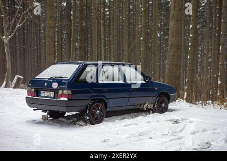 KRASNA, TSCHECHISCHE REPUBLIK - 1. JANUAR 2015: Das tschechische Fahrzeug Skoda Forman parkt im Winter im Wald Stockfoto