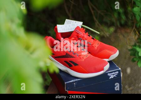 Tyumen, Russland, 20. Juni 2024: Rotes Reebok Logo Modell Nanoflex Sneakers, Laufschuhe. Stockfoto