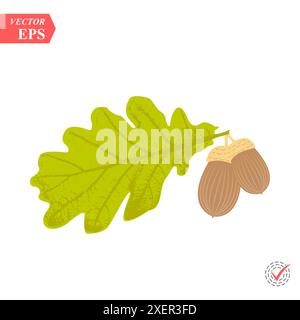 Ökologisch stilisierte Vektorillustration. Eichenblatt und Eichel Eco Nature saisonale Grafik EPS Stock Vektor