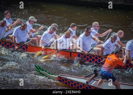 29. 06. 2024: Leiden, Niederlande, traditionelle RED DRAGON BOAT RENNEN im Leiden Kanal, Ruderteams treten in den langen Booten an Stockfoto