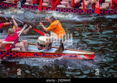 29. 06. 2024: Leiden, Niederlande, traditionelle RED DRAGON BOAT RENNEN im Leiden Kanal, Ruderteams treten in den langen Booten an Stockfoto