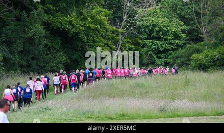 Brighton UK 29 Juni 2024 - Tausende nehmen an einem warmen sonnigen Tag im Stanmer Park Brighton am Cancer Research UK Pretty Muddy Race for Life Teil. Teilnehmer, die von Krebs berührt wurden, finden ihren Weg um den hübschen Muddy Hindernislauf, der etwas mehr als 3 Meilen entfernt ist und hilft, Tausende von Pfund für Cancer Research UK zu sammeln: Credit Simon Dack / Alamy Live News Stockfoto