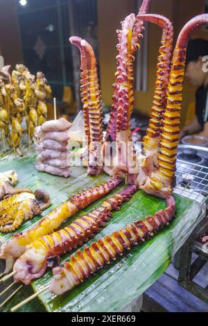 Hoi an, Vietnam - 5. Februar 2024: Gegrillte Kraken- und Fleischspieße als Snacks von einem Straßenverkäufer auf dem Hoi an Nachtmarkt verkauft Stockfoto