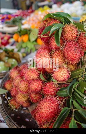 Hoi an, Vietnam - 8. Februar 2024: Frisch reife Rambutan-Früchte auf dem Hoi an Central Market, Vietnam Stockfoto