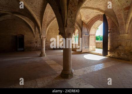 Tageslicht beleuchtet das Innere des Kapitelhauses in der Abtei San Galgano. Stockfoto