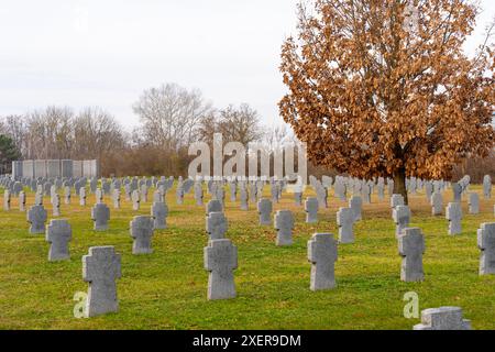 Militärfriedhof des Zweiten Weltkriegs in der Wintersonne Stockfoto