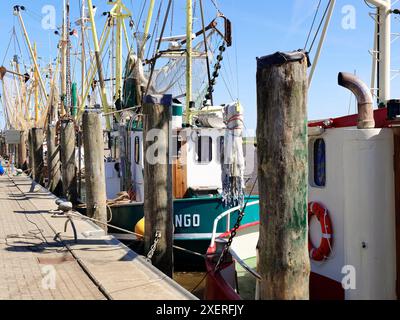 Garnelenschneider mit Fischernetzen im Hafen von Greetsiel, bereit für den nächsten Fang. Stockfoto