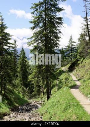Schmaler Wanderweg in den Bergen in Garmisch-Partenkirchen, Bayern, Deutschland Stockfoto