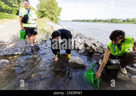 Mehr als 250 Kinder, Jugendliche und Erwachsene sind am Samstag bei einem großen Tauffest in der Bonner Rheinaue getauft worden Foto vom 29.06.2024. Der Gottesdienst mit 4,000 Besucherinnen und Besuchern wurde auf einer großen Wiese gefeiert, wie der evangelische Kirchenkreis Bonn mitteilte. Die Taufen in kleinen Gruppen uebernahmen 50 Pfarrerinnen und Pfarrer, Vikare, Praedikantinnen und Diakone sowie der rheinischen Praeses. Siehe epd-Bericht vom 29.06.2024 NUR REDAKTIONELLE VERWENDUNG *** mehr als 250 Kinder, Jugendliche und Erwachsene wurden am Samstag bei einer großen Tauffeier im "The Taufe" getauft Stockfoto