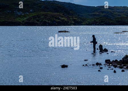 Ein Fliegenfischer spielt einen Fisch in den abgelegenen Hügeln von Assynt, Schottland Stockfoto