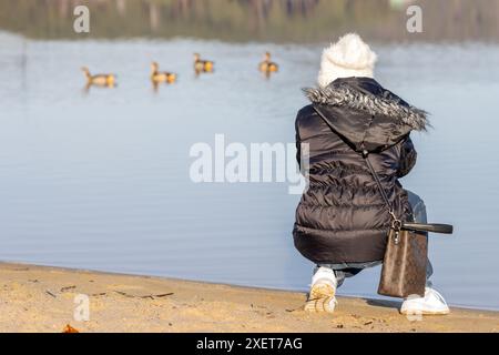 Eine junge Frau fotografiert Enten auf einem Winterteich Stockfoto