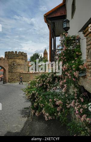 Sighnaghi, Georgien - 26. Juni 2024: Blick auf das Dorf Sighnaghi in der Kakheti-Region Georgiens. Stockfoto