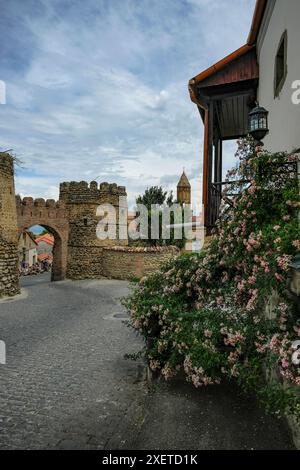 Sighnaghi, Georgien - 26. Juni 2024: Blick auf das Dorf Sighnaghi in der Kakheti-Region Georgiens. Stockfoto