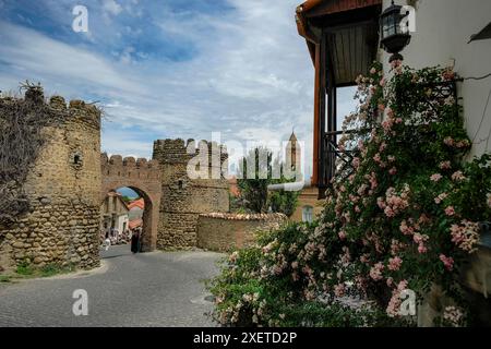 Sighnaghi, Georgien - 26. Juni 2024: Blick auf das Dorf Sighnaghi in der Kakheti-Region Georgiens. Stockfoto