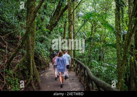 Gruppe von Touristen auf einem Naturlehrpfad in Mistico, Arenal Hanging Bridges Park, Costa Rica, Mittelamerika Stockfoto