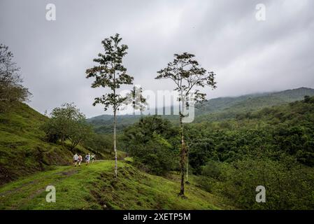 Tour in kleiner Gruppe im Arenal Volcano Nationalpark, Costa Rica, Mittelamerika Stockfoto