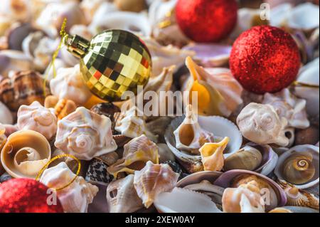 Nahaufnahme von Muscheln am Strand Stockfoto