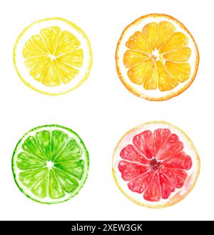 Aquarell Zitrusfrüchte Illustration mit Zitronen-, Orangen-, Limetten- und Grapefruitscheiben Stockfoto