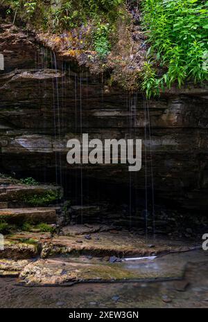 Wasser tropft von einem Felsvorsprung im Havana Glen County Park, Tompkins County, New York Stockfoto