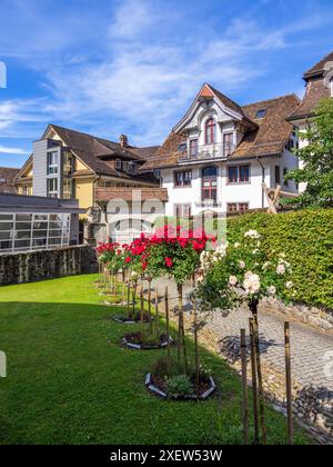 Schwyz, Schweiz - 18. Juni 2024: Ein charmantes historisches Wohnviertel im europäischen Stil in der Stadt Schwyz mit blühenden Gärten und malerischem Bul Stockfoto