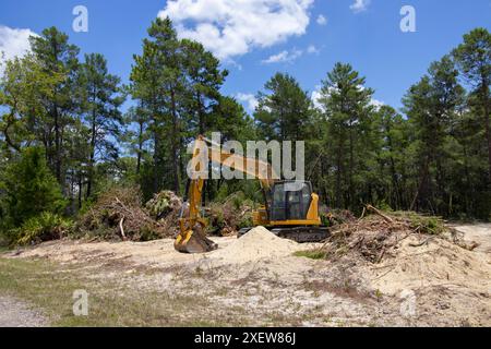 Native Lebensraum Wald für neue Wohnungsbau in North Central Florida zerstört Stockfoto