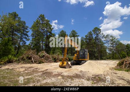 Native Lebensraum Wald für neue Wohnungsbau in North Central Florida zerstört Stockfoto