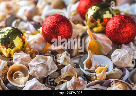 Nahaufnahme der Muscheln am Strand 1 Stockfoto
