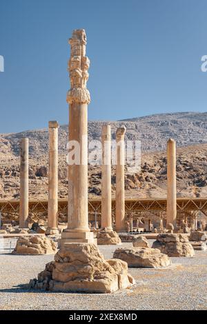 Säulen des Apadana Palastes auf blauem Himmel Hintergrund in Persepolis, Iran. Die große hypostilvolle Halle der alten persischen Stadt. Stockfoto